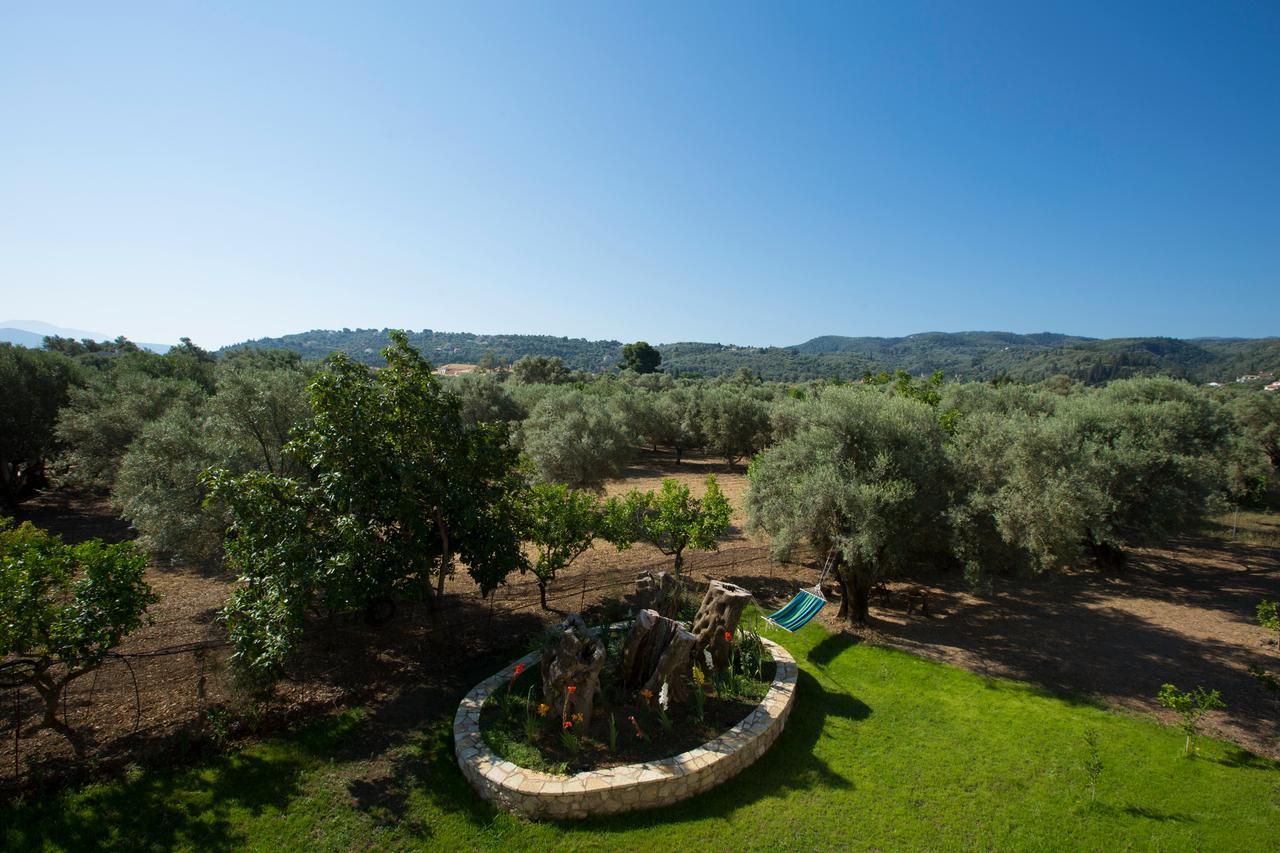 Villa Elionas Απόλπαινα Εξωτερικό φωτογραφία